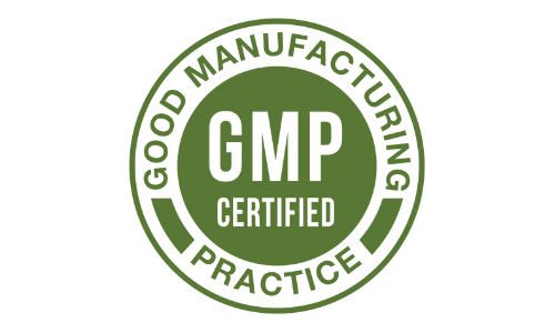 GMP Manufacturing Standards